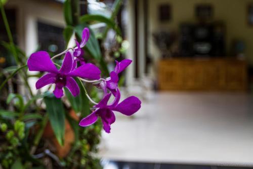 Ubud Tri Upasedana House 2 Hotel Tegallalang  Eksteriør billede